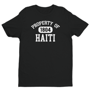 Property of Haiti, Men's T-shirt